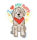 I love puppy ✨